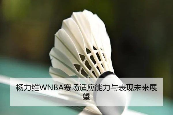 杨力维WNBA赛场适应能力与表现未来展望
